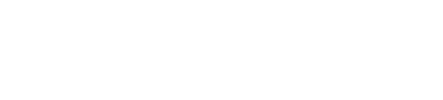 knindustrie-network-01